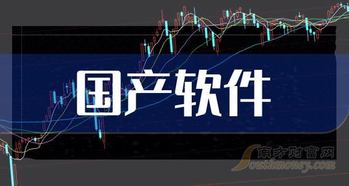 2024年国产软件概念股盘点 信息技术咨询服务领域值得关注的名单