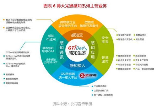 博大光通835801 打造物联网产业链技术与服务提供商——价值大赛优秀研报解读